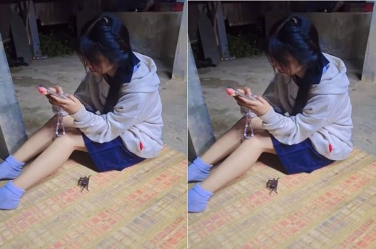 Mời bạn sang nhà chủ yếu để tìm kiếm mục tiêu giao cấu